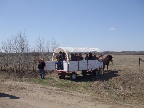 wagon rides